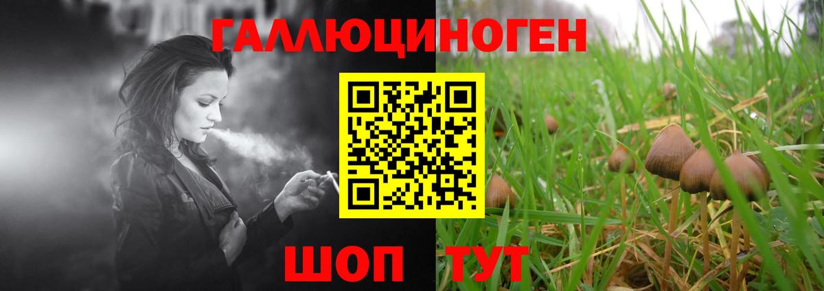 Псилоцибиновые грибы Magic Shrooms  купить   Сальск  Вход с VPN  Галлюциногенные грибы мицелий 