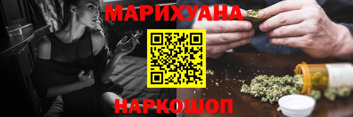 Бошки Шишки планчик Сальск